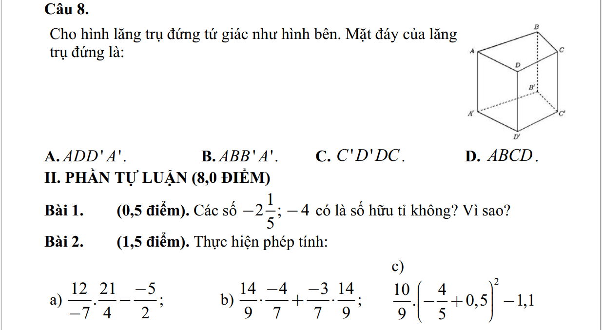 Đề thi Giữa kì 1 Toán 7 năm 2024-2025 Trường THCS Tân Xuân (Tp.HCM)