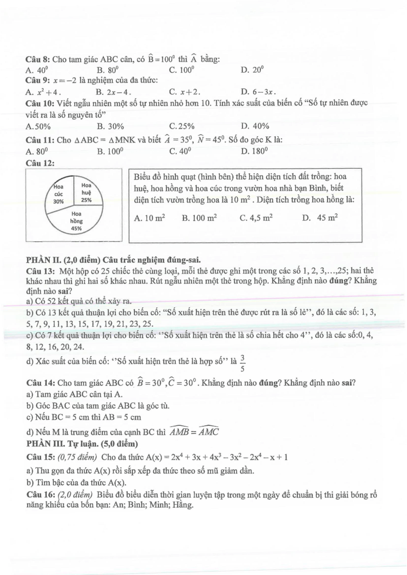 Đề thi Giữa kì 2 Toán 7 trường THCS Chu Văn An (Bình Dương) năm 2024-2025