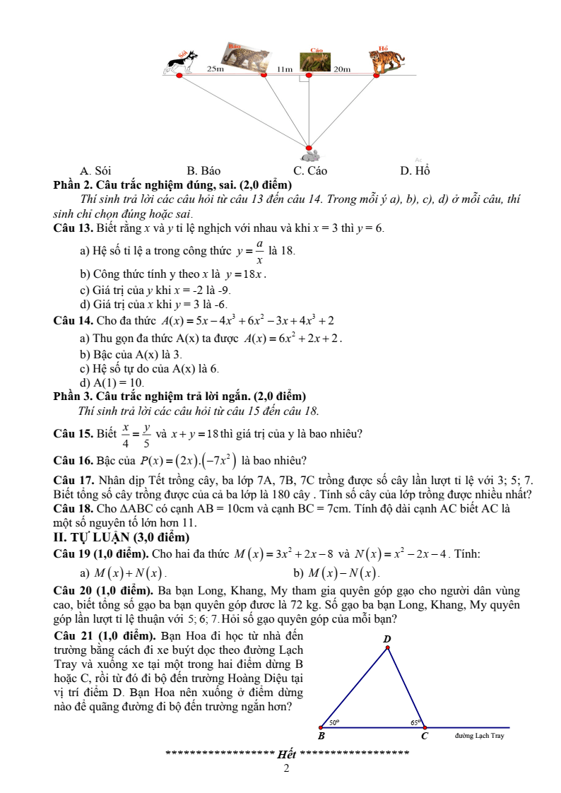 Đề thi Giữa kì 2 Toán 7 trường THCS Hoàng Diệu (Hải Phòng) năm 2024-2025