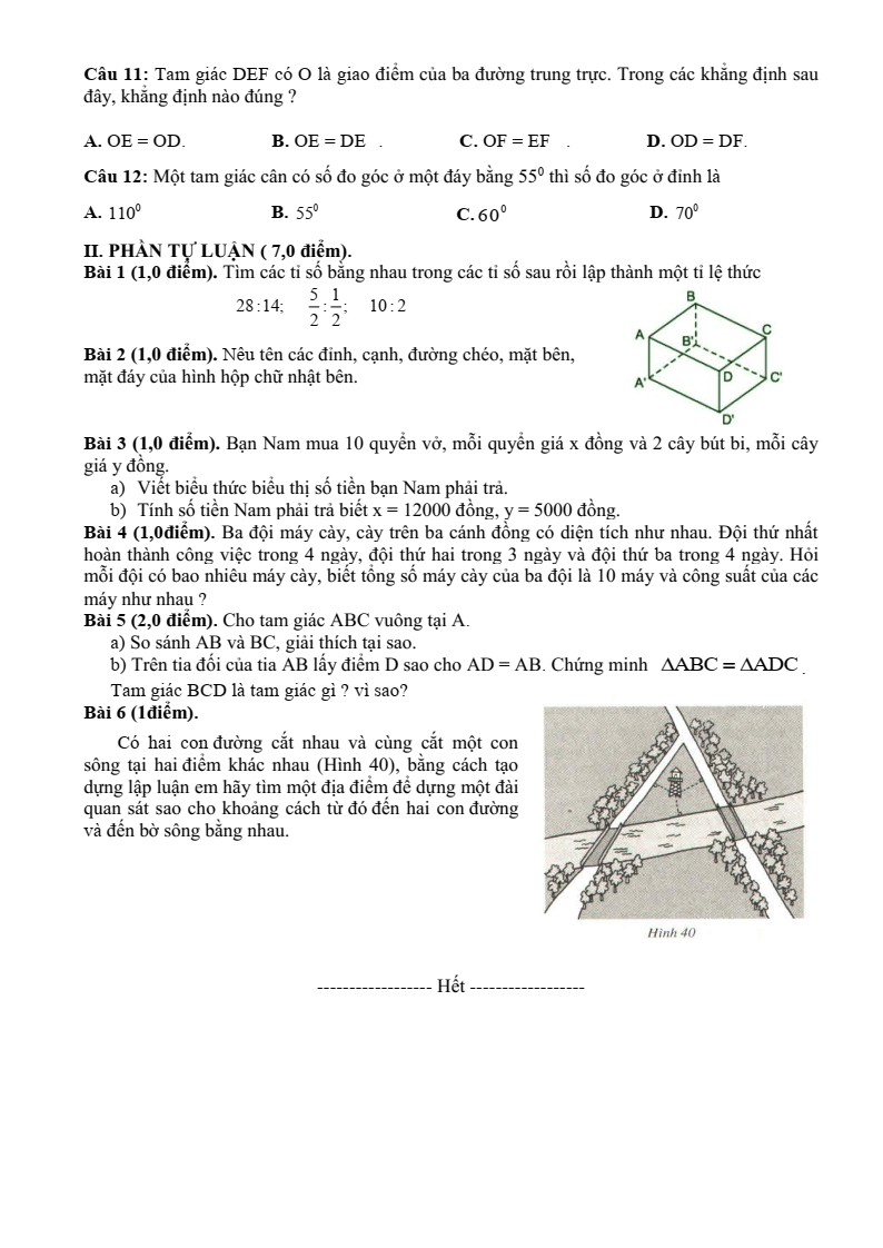 Đề thi Giữa kì 2 Toán 7 trường THCS Nguyễn Trãi (Quảng Nam) năm 2024-2025
