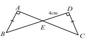 20+ Đề thi Giữa kì 2 Toán 7 Kết nối tri thức năm 2026 (có đáp án)