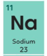6 Đề thi Học kì 1 KHTN 7 Chân trời sáng tạo năm 2025 (có đáp án) | Đề thi Khoa học tự nhiên 7