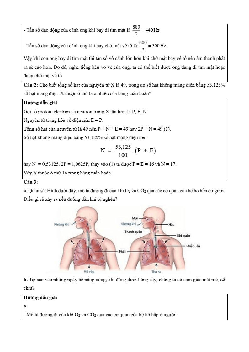 6 Đề thi Học kì 1 KHTN 7 Chân trời sáng tạo năm 2025 (có đáp án) | Đề thi Khoa học tự nhiên 7