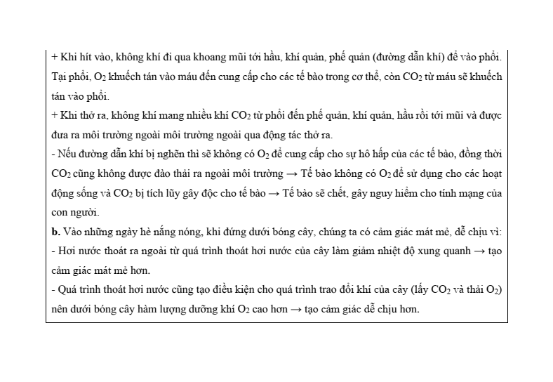 6 Đề thi Học kì 1 KHTN 7 Chân trời sáng tạo năm 2025 (có đáp án) | Đề thi Khoa học tự nhiên 7