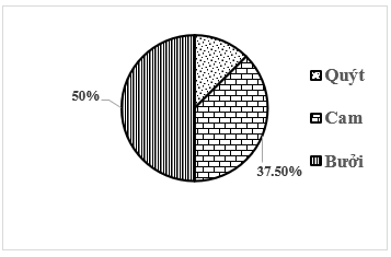 32 Đề thi Cuối kì 1 Toán 7 Kết nối tri thức (có đáp án, cấu trúc mới)