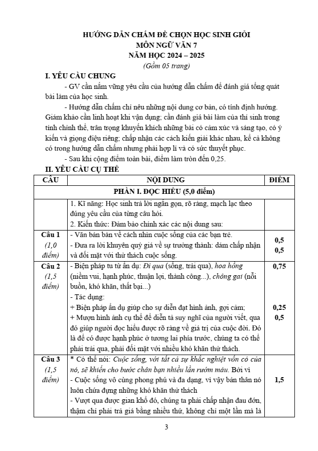 Đề thi học sinh giỏi Ngữ Văn 7 Phòng GD&ĐT Bình Lục năm 2025