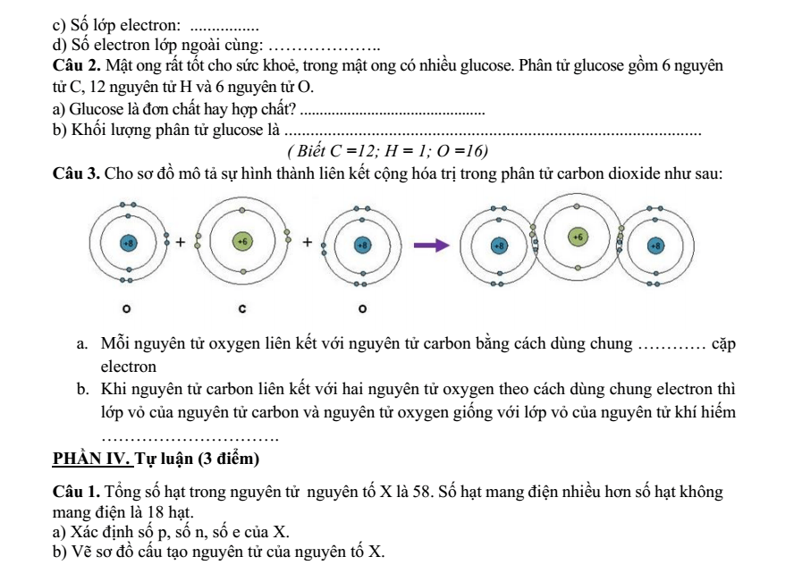 Đề thi Giữa kì 1 KHTN 7 năm 2025-2026 trường THCS Tam Hiệp (Hà Nội)