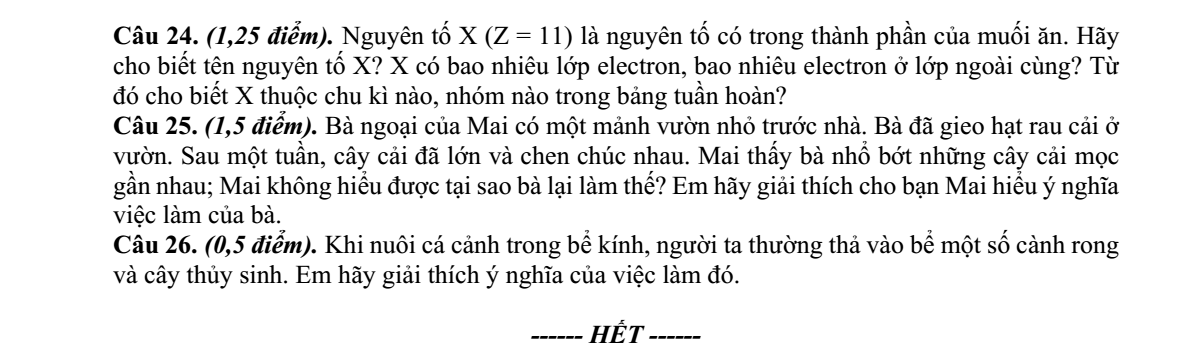 Đề thi Giữa kì 1 KHTN 7 năm 2024-2025 trường THCS Trần Hưng Đạo (Kon Tum)