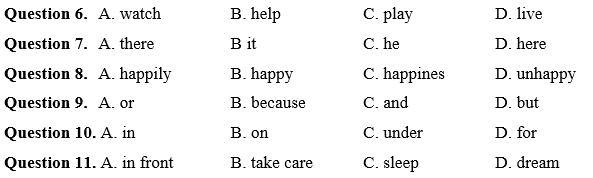 Đề cương ôn tập Giữa kì 1 Tiếng Anh 8 Smart World (có lời giải)
