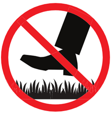 Đề cương ôn tập Học kì 1 Tiếng Anh 8 Smart World (có lời giải)