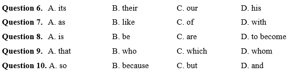Đề cương ôn tập Học kì 1 Tiếng Anh 8 Smart World (có lời giải)