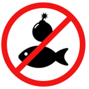 Đề cương ôn tập Học kì 2 Tiếng Anh 8 Friends Global (có lời giải)