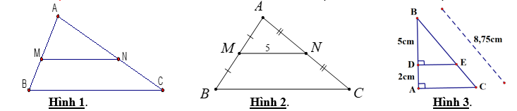 Đề thi Giữa kì 2 Toán 8 năm 2023-2024 phòng GD&ĐT Lục Nam Bắc Giang