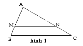 Đề thi Giữa kì 2 Toán 8 năm 2023-2024 trường THCS Trường Sơn (Hải Phòng)