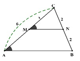 Đề thi Giữa kì 2 Toán 8 năm 2023-2024 trường THCS&THPT Vàm Đình (Cà Mau)