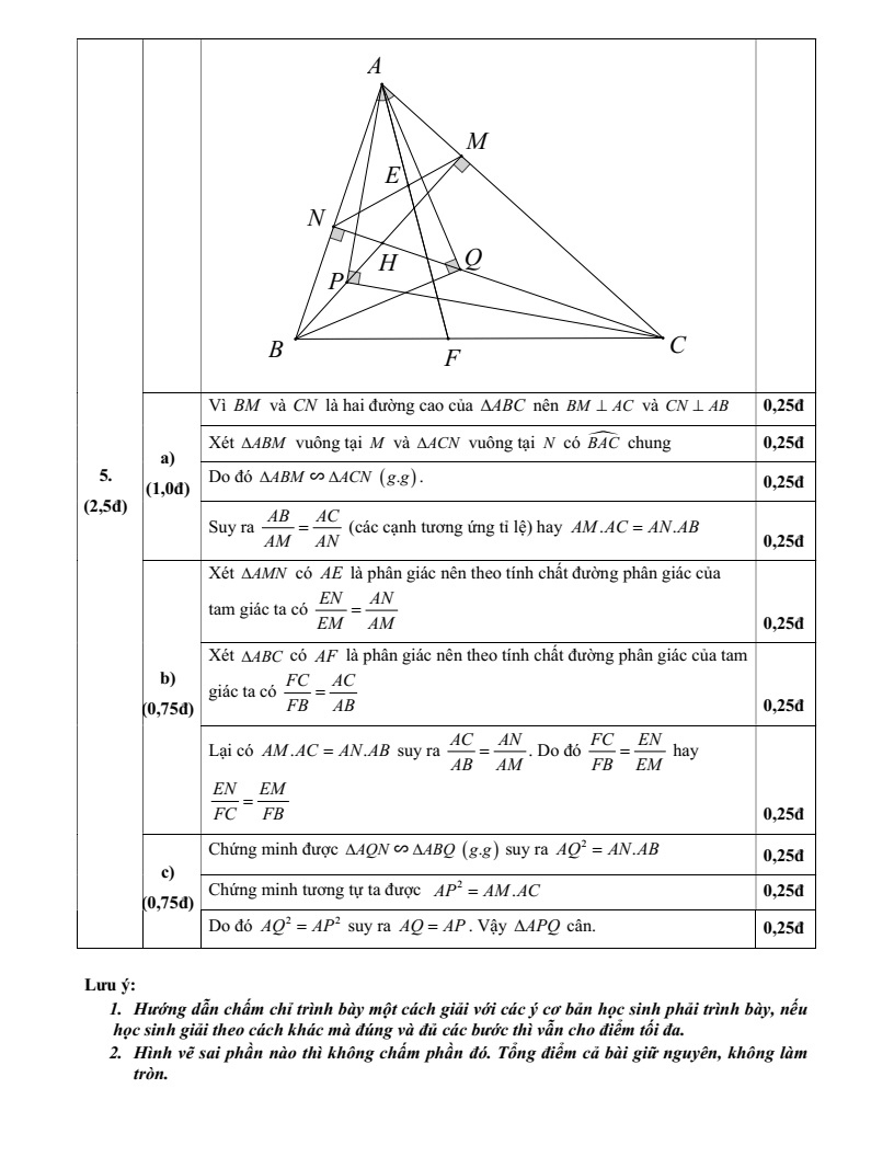 Đề thi Giữa kì 2 Toán 8 phòng GD&ĐT Xuân Trường (Nam Định) năm 2024-2025