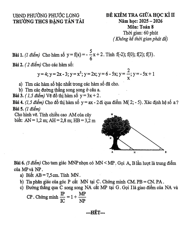 Đề thi Giữa kì 2 Toán 8 trường THCS Đặng Tấn Tài (TP HCM) năm 2025-2026