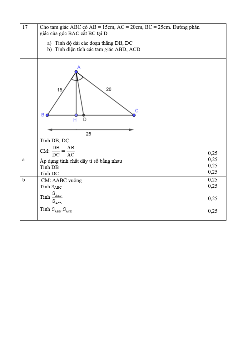 Đề thi Giữa kì 2 Toán 8 trường THCS Hà Huy Tập (TP HCM) năm 2025-2026