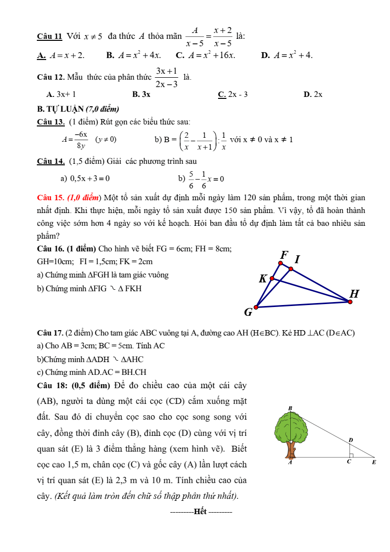 Đề thi Giữa kì 2 Toán 8 trường THCS Hưng Bình (Nghệ An) năm 2024-2025