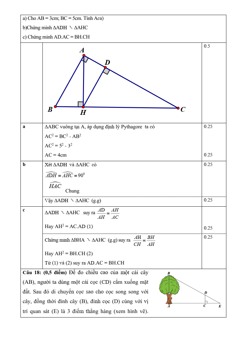 Đề thi Giữa kì 2 Toán 8 trường THCS Hưng Bình (Nghệ An) năm 2024-2025