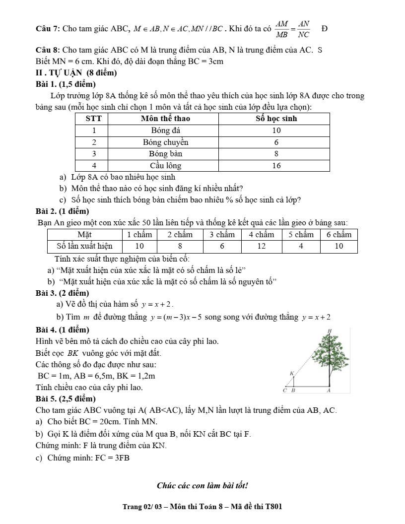 Đề thi Giữa kì 2 Toán 8 trường THCS Lý Sơn (Hà Nội) năm 2024-2025