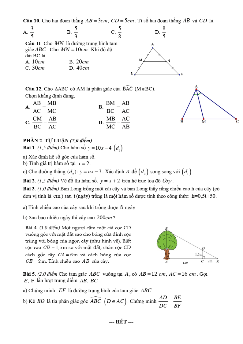Đề thi Giữa kì 2 Toán 8 trường THCS Trường Thạnh (Tp.HCM) năm 2024-2025