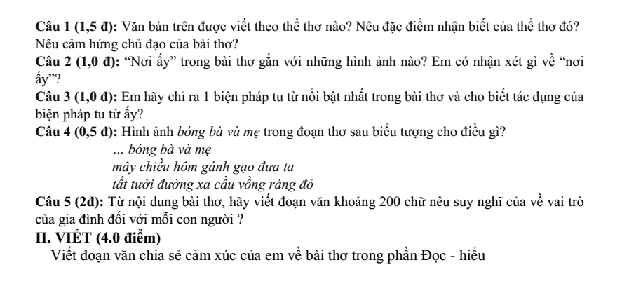 Đề thi Giữa kì 2 Văn 8 năm 2024-2025 trường THCS Đội Bình (Hà Nội)