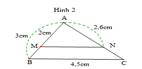 Đề thi Học kì 1 Toán 8 năm 2023-2024 phòng GD&ĐT Cẩm Thủy (Thanh Hóa)