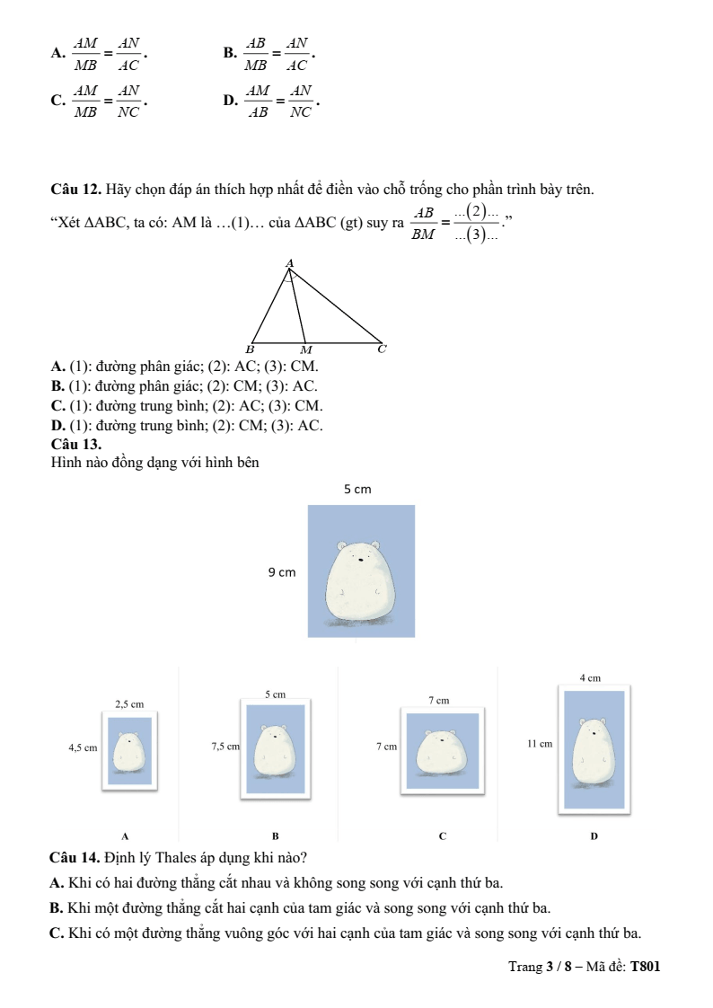 Đề thi Học kì 2 Toán 8 trường TH-THCS-THPT Khai Nguyên (TP HCM) năm 2025-2026