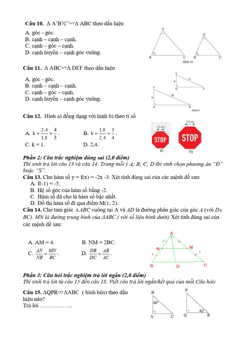 Đề thi Học kì 2 Toán 8 trường THCS Võ Trường Toản (Bà Rịa - Vũng Tàu) năm 2024-2025