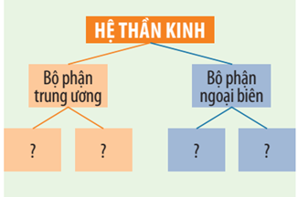 4 Đề thi Học kì 1 Khoa học tự nhiên 8 Chân trời sáng tạo (có đáp án, cấu trúc mới)