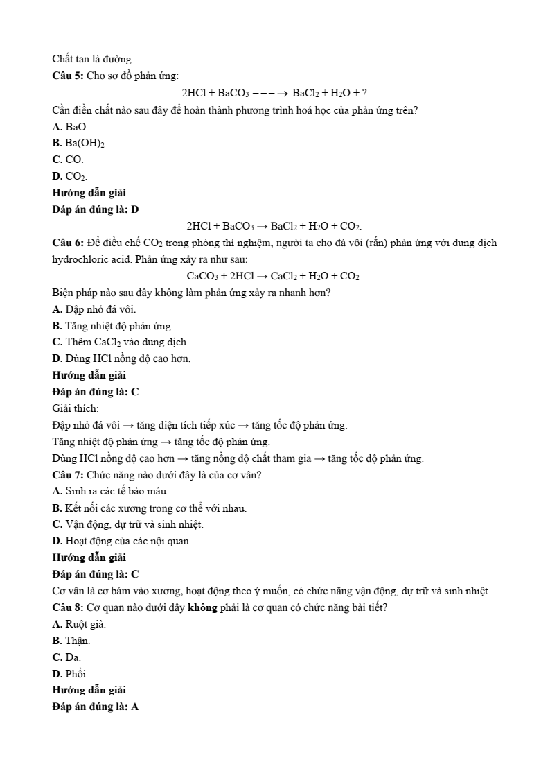 4 Đề thi Học kì 1 Khoa học tự nhiên 8 Chân trời sáng tạo (có đáp án, cấu trúc mới)