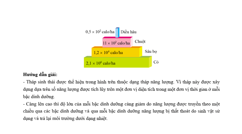22+ Đề thi Học kì 2 Khoa học tự nhiên 8 Kết nối tri thức (cấu trúc mới, có đáp án)