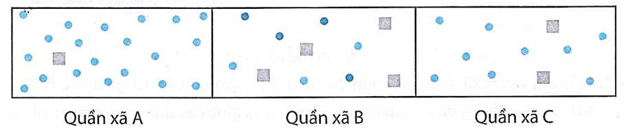 22+ Đề thi Học kì 2 Khoa học tự nhiên 8 Kết nối tri thức (cấu trúc mới, có đáp án)