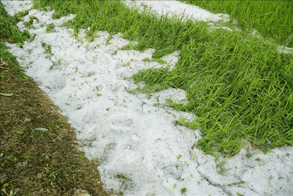 25 Đề thi Học kì 1 Ngữ văn 8 Cánh diều (có đáp án, cấu trúc mới)