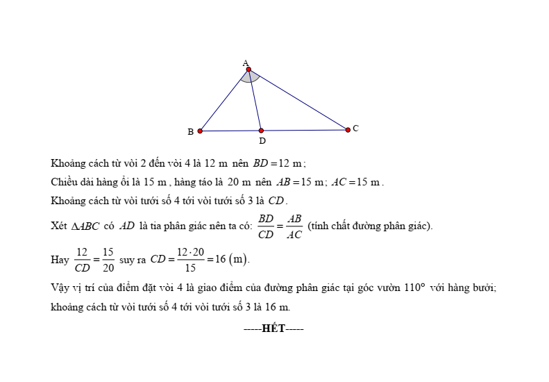 10 Đề thi Học kì 1 Toán 8 Kết nối tri thức (có đáp án, cấu trúc mới)