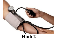 Đề thi Giữa kì 1 KHTN 8 năm 2025-2026 trường THCS Nguyễn Du (Đà Nẵng)