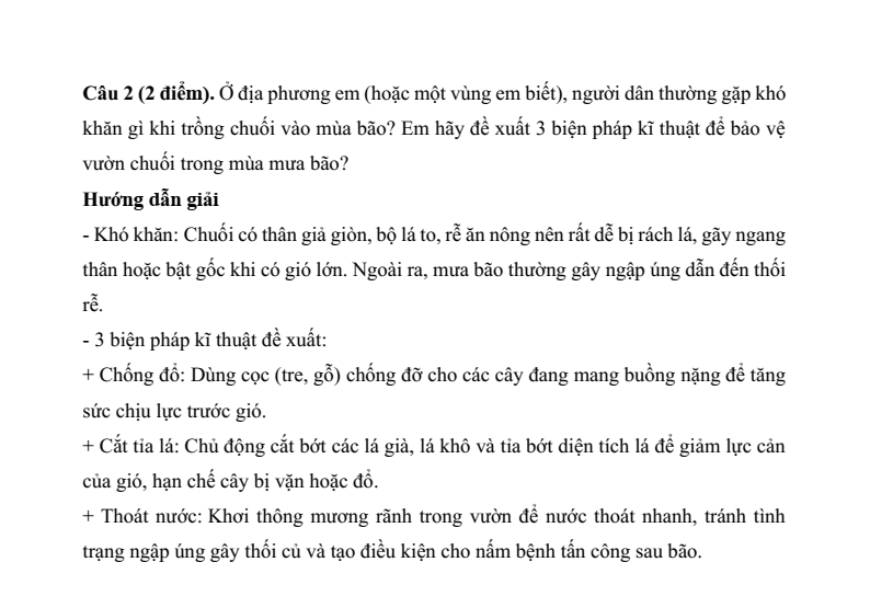 Đề thi Học kì 2 Công nghệ 9 Kết nối tri thức Trồng cây ăn quả (có đáp án)