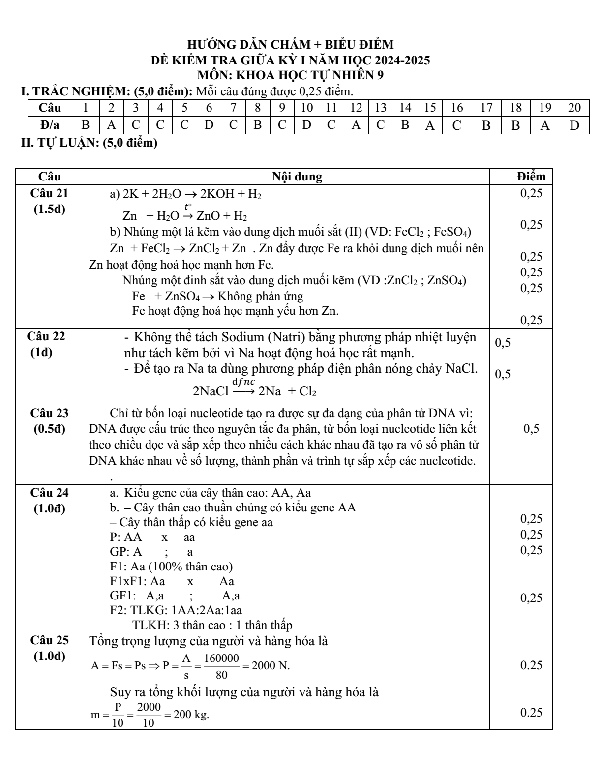 Đề thi Giữa kì 1 KHTN 9 năm 2024-2025 trường TH&THCS Nguyễn Du (Quảng Nam)