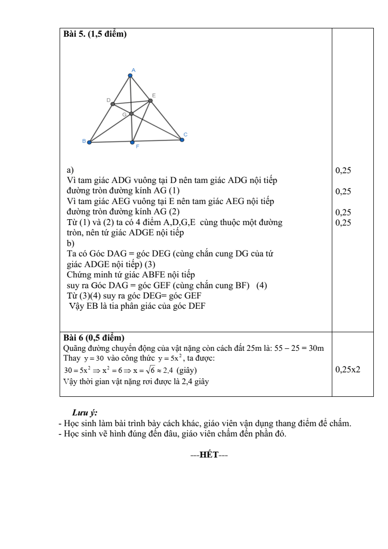 Đề thi Giữa kì 2 Toán 9 trường THCS Trường Thạnh (Tp.HCM) năm 2024-2025