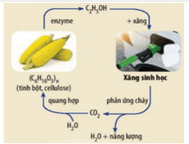 Đề thi tuyển sinh Hóa học vào lớp 10 trường Chuyên Phan Bội Châu (Nghệ An) năm 2025