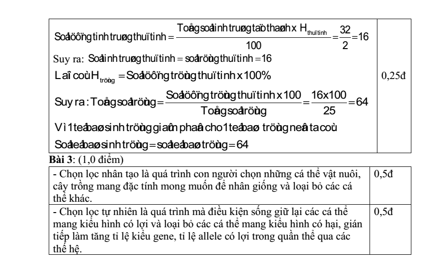 Đề thi Học kì 2 KHTN 9 năm 2024-2025 trường TH&THCS Sùng Đô