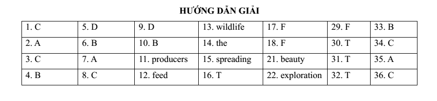 Đề thi Học kì 2 Tiếng Anh 9 năm 2024-2025 trường THCS Huỳnh Thúc Kháng (Quảng Nam - Mã đề 1)