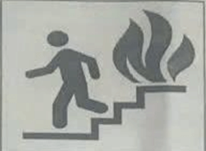 Đề thi Học kì 2 Tiếng Anh 9 trường THCS Tây Mỗ (Hà Nội) năm 2024-2025ĐT Hai Bà Trưng (Hà Nội) năm 2024-2025