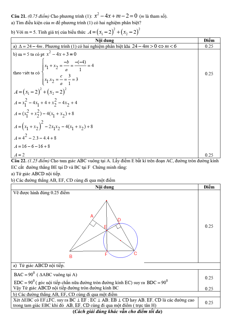 Đề thi Học kì 2 Toán 9 trường THCS Võ Trường Toản (Bà Rịa - Vũng Tàu) năm 2024-2025