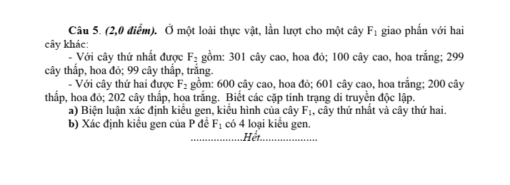 Đề thi học sinh giỏi Sinh học 9 Cụm 1 (An, Đức, Khánh, Long, Lộc) năm 2025