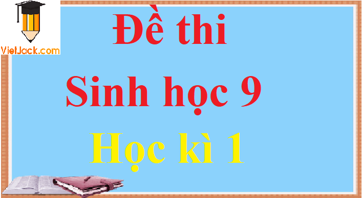 Đề thi Sinh học lớp 9 Học kì 1 năm học 2021 - 2022 có đáp án (30 đề)