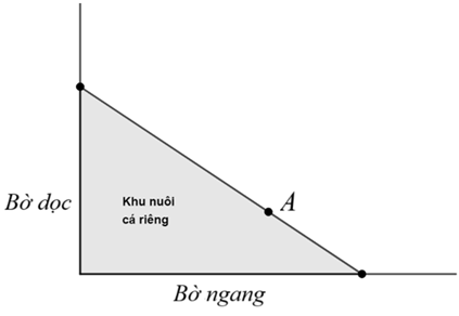 10 Đề thi Giữa kì 1 Toán 9 Kết nối tri thức (có đáp án, cấu trúc mới)