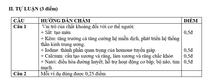 Đề thi Giữa kì 1 Công nghệ 9 năm 2024-2025 trường THCS Phúc Lợi (Hà Nội)