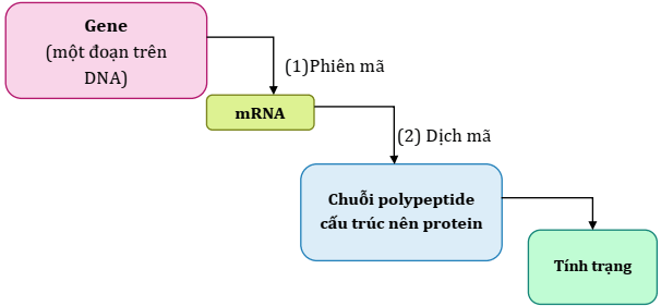 Đề thi Giữa kì 1 KHTN 9 năm 2024-2025 Phòng GD&ĐT Tân Yên (Bắc Giang)